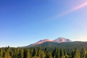 Mount Shasta